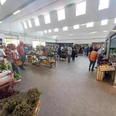 Apartment Casa Degli Ulivi