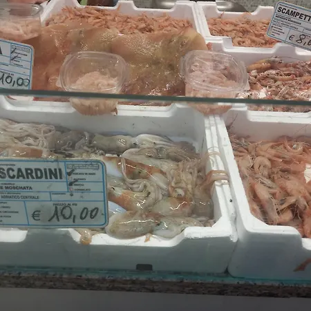 Casa Degli Ulivi Apartment