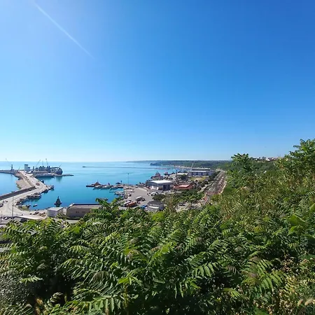 Casa Degli Ulivi Apartment